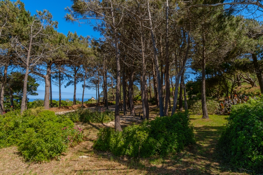 6 Bedroom Property for Sale in San Michel Western Cape